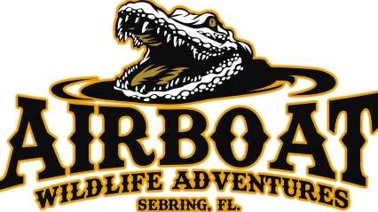Airboat Wildlife Adventures